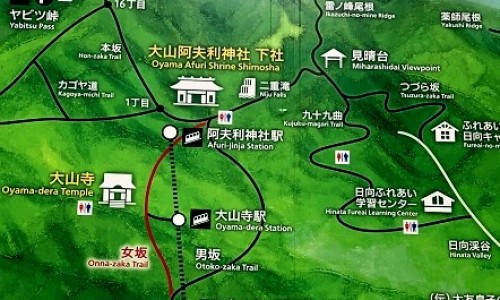 银杏叶软胶囊的副作用有哪些-银杏叶软胶囊的副作用是什么网 | 银杏叶软胶囊说明书用法用量,银杏叶软胶囊的功效是什么